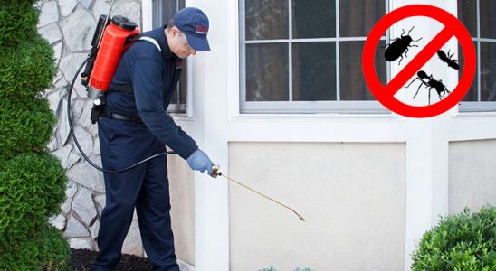 Yozgat Gümüşkurt İlaçlama böcek ilaçlama ve haşere kontrolü — ilaclama-tr.com